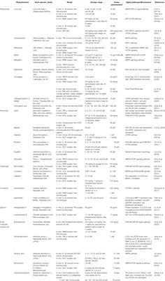 Phytochemicals Mediate Autophagy Against Osteoarthritis by Maintaining Cartilage Homeostasis